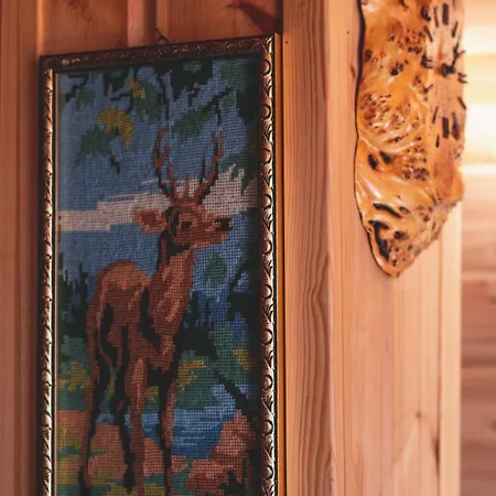 Villa Jaeaeskelae - Koko Talo