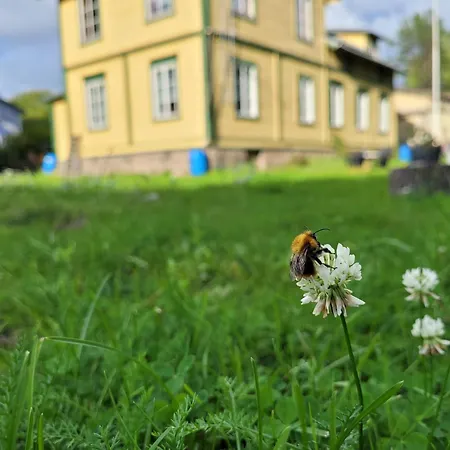 Jaeaeskelae - Koko Talo Villa