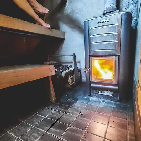 Jaeaeskelae - Koko Talo Villa