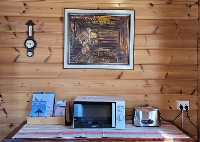 Jaeaeskelae - Koko Talo Вилла