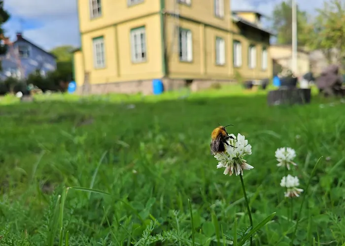 Jaeaeskelae - Koko Talo Вилла