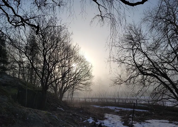 Jaeaeskelae - Koko Talo Вилла